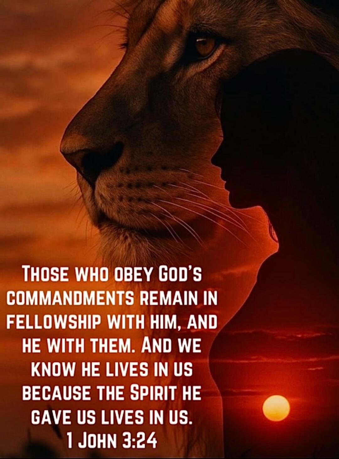 THOSE WHO OBEY GOD'S COMMANDMENTS REMAIN IN FELLOWSHIP WITH HIM, AND HE WITH THEM. AND WE KNOW HE LIVES IN US BECAUSE THE SPIRIT HE GAVE US LIVES IN US. 1 JOHN 3:24