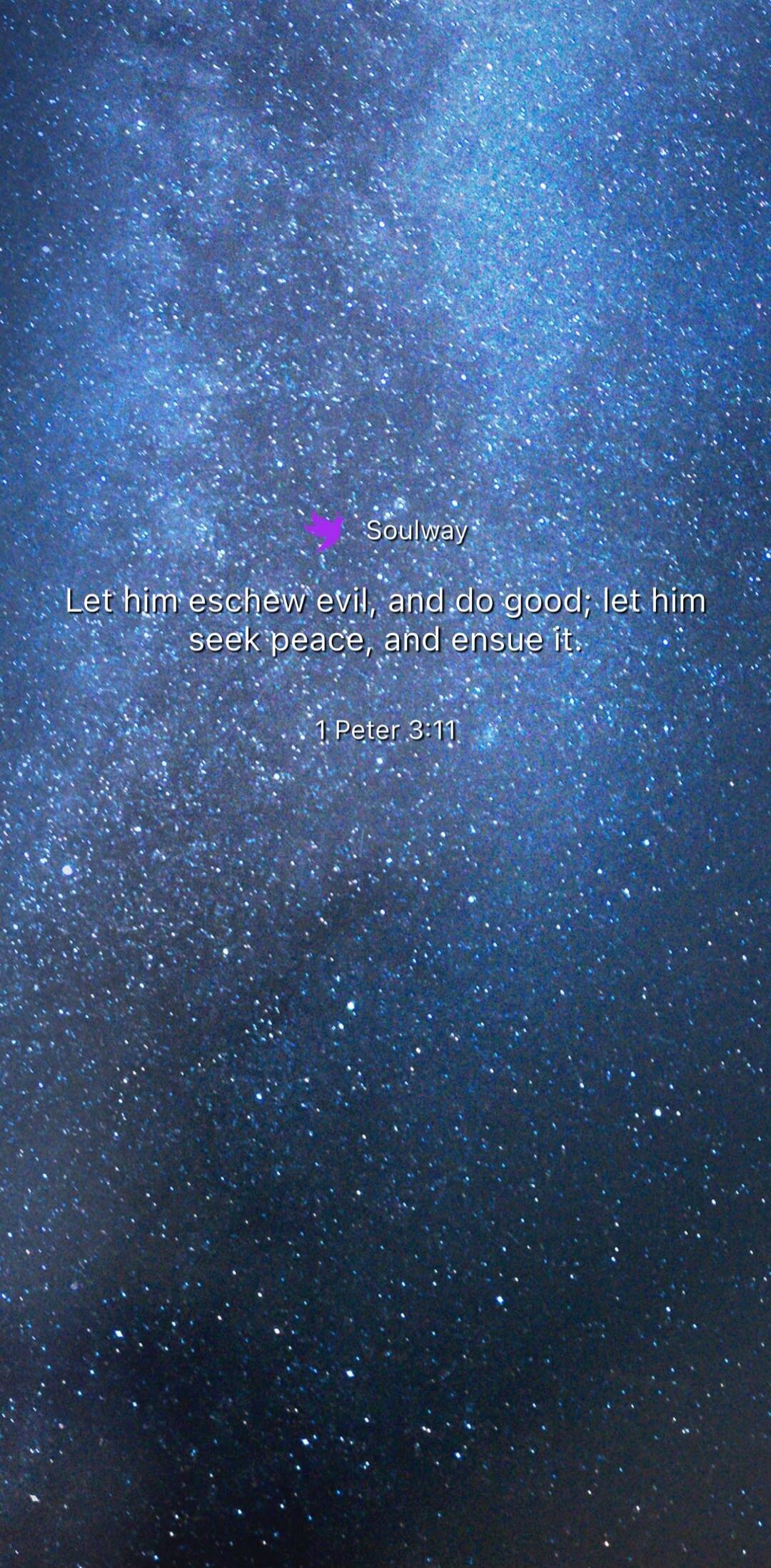Soulway. Let him eschew evil, and do good; let him seek peace, and ensue it. 1 Peter 3:11.