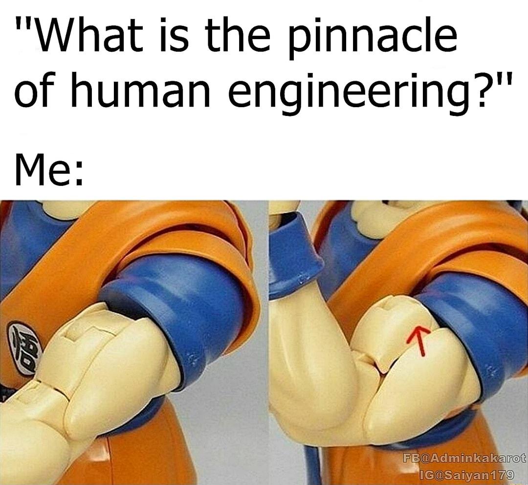 What is the pinnacle of human engineering