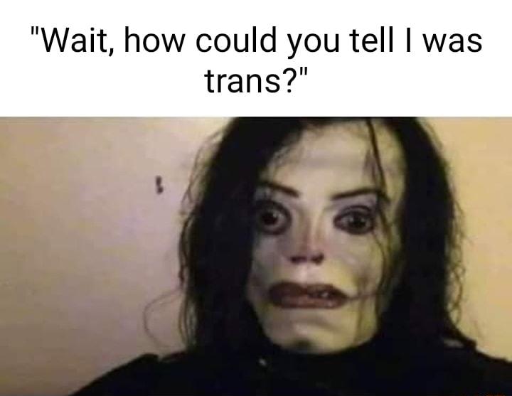 Wait how could you tell was trans