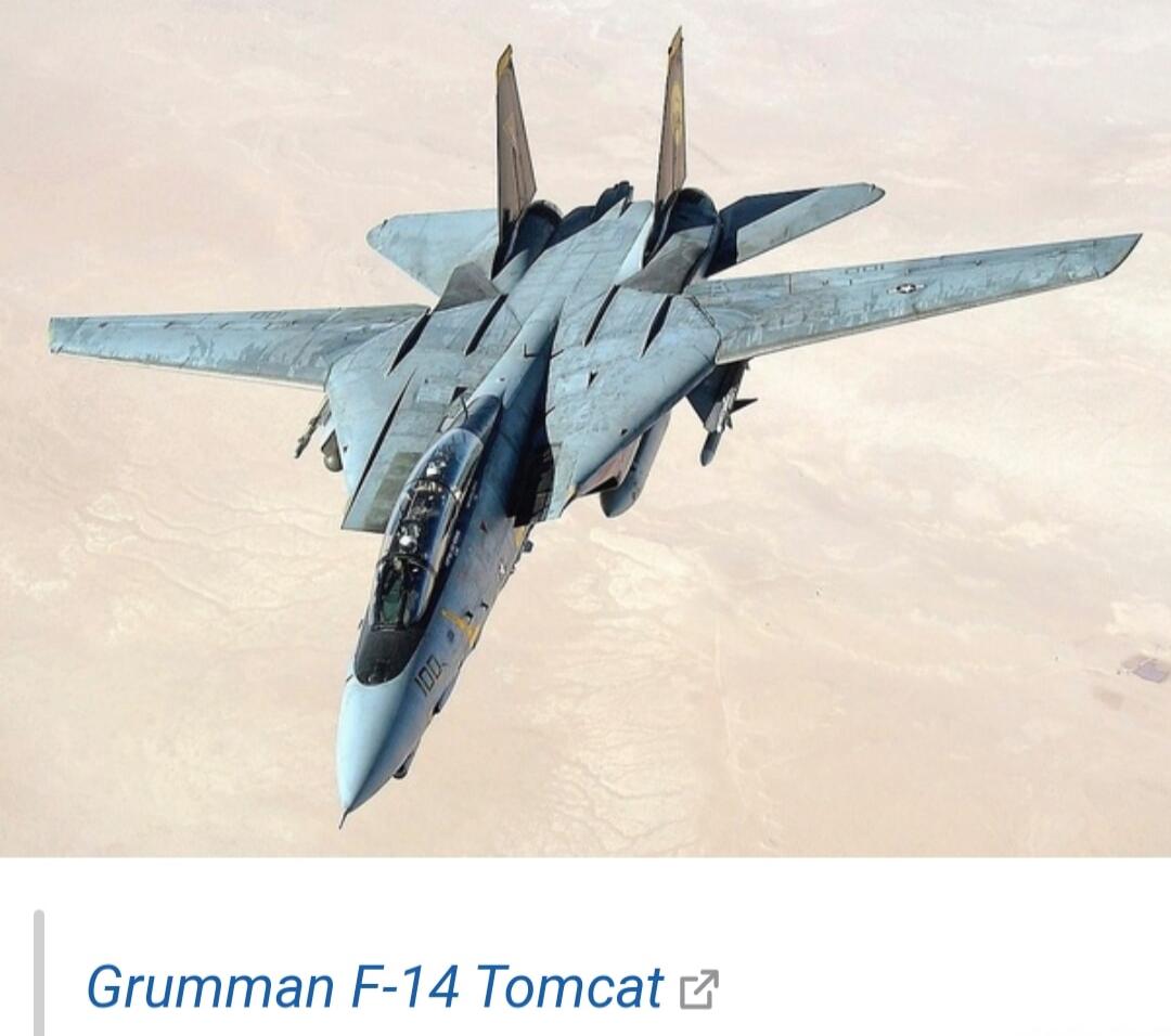 Grumman F-14 Tomcat