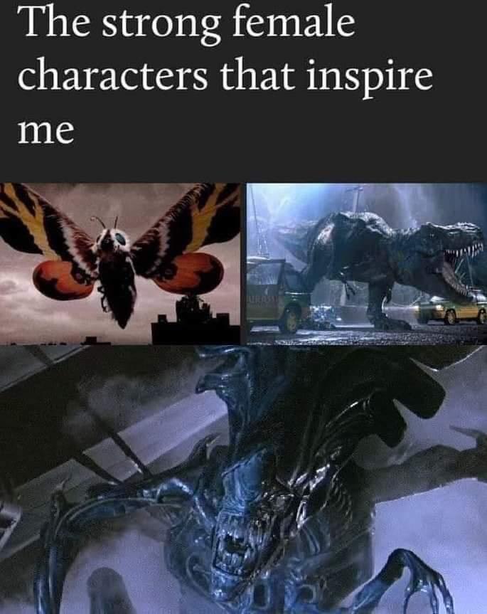 The strong female characters that inspire me