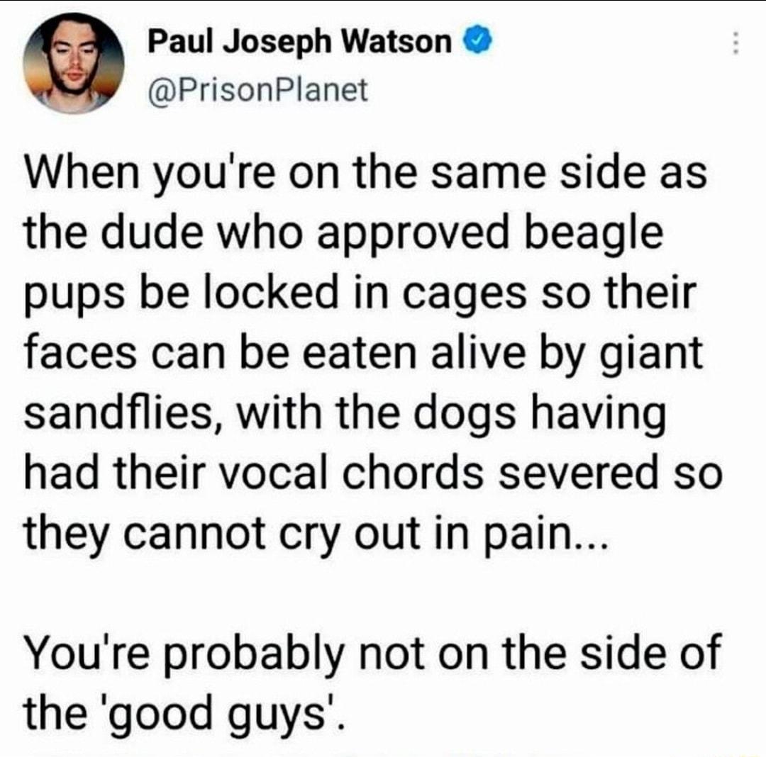 e Paul Joseph Watson PrisonPlanet When youre on the same side as the dude who approved beagle pups be locked in cages so their faces can be eaten alive by giant sandflies with the dogs having had their vocal chords severed so they cannot cry out in pain Youre probably not on the side of the good guys