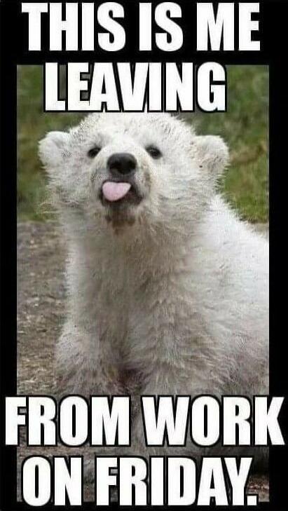THIS IS ME LEAVING FROM WORK ON FRIDAY.