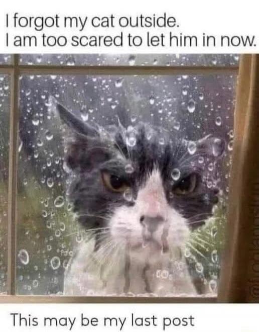 I forgot my cat outside. I am too scared to let him in now. This may be my last post