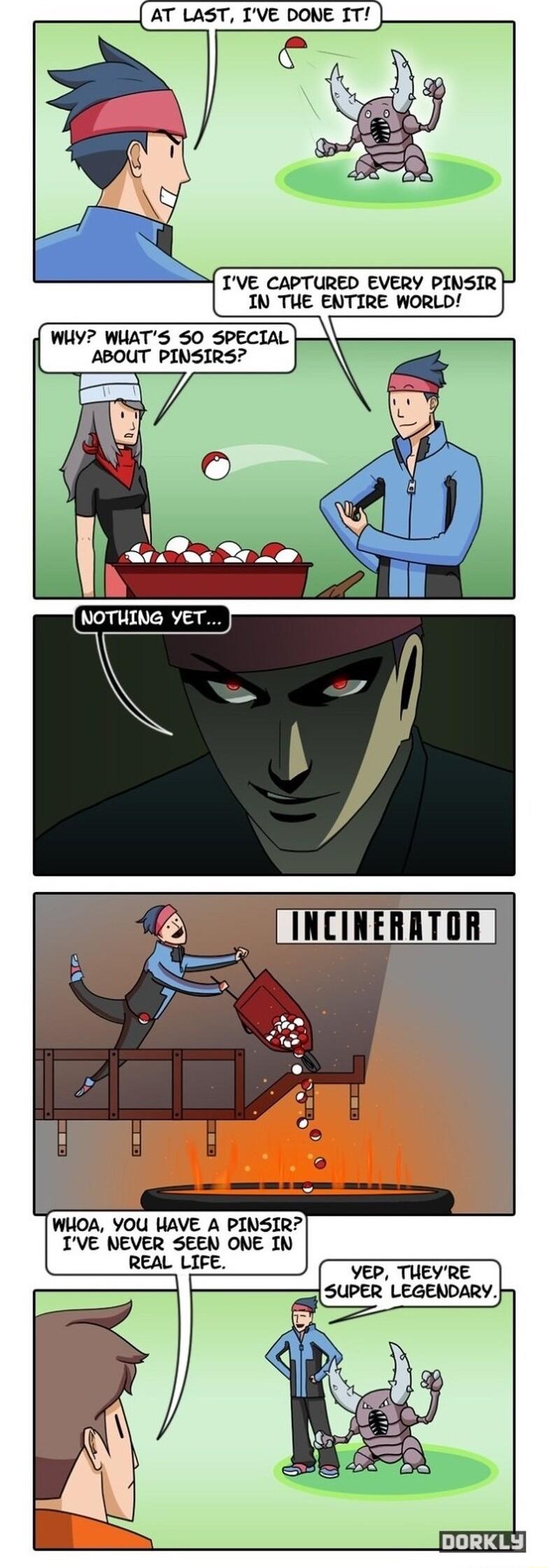 AT LAST IVE DONE IT WHY WUATS SO SPECIAL ABOUT PINSIRS WHOA YOU HAVE A PINSIR TVE NEVER SEEN ONE IN REAL LIFE