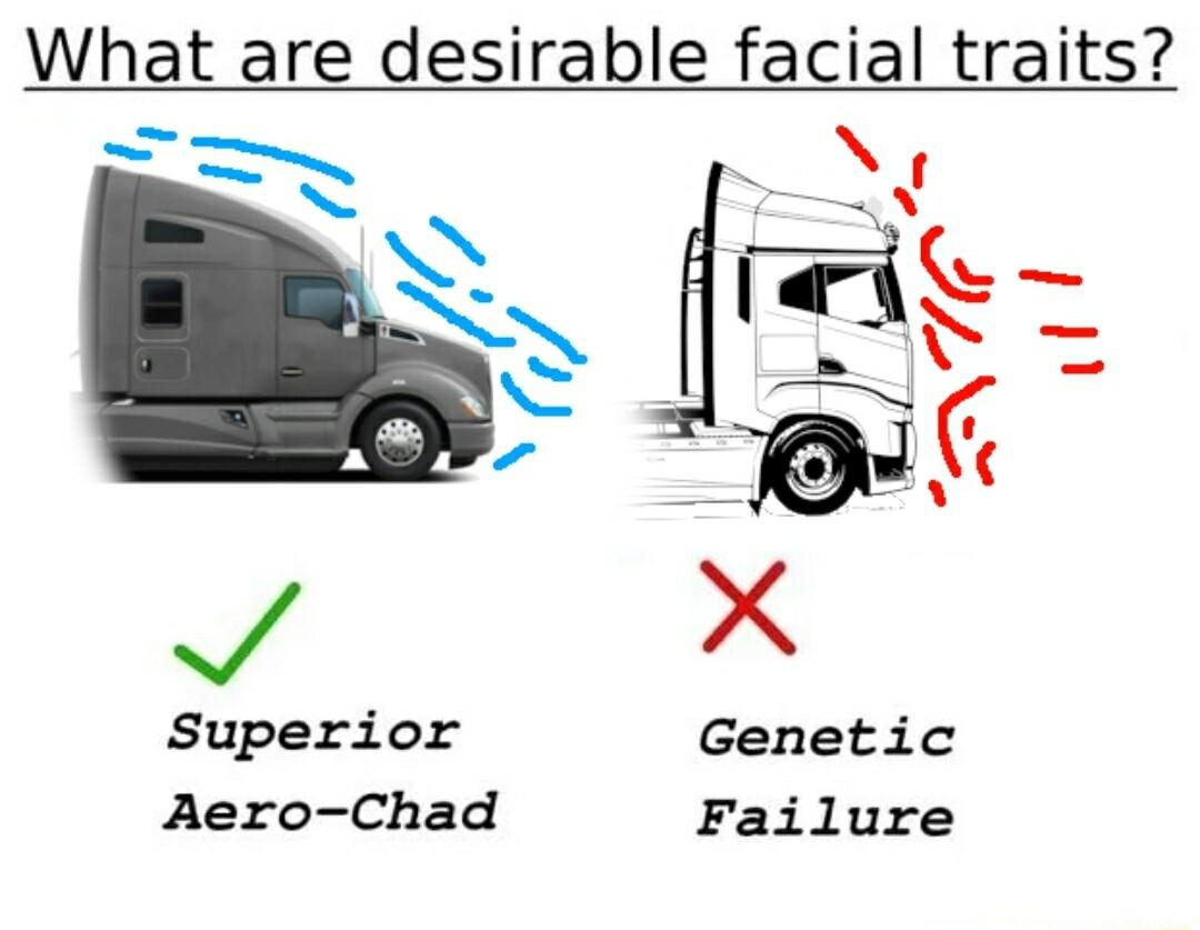 What are desirable facial traits S N O k i i ol v X Superior Genetic Aero Chad Failure