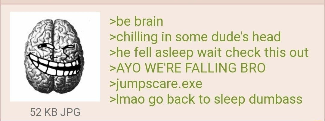 52 KB JPG 061521Tue130836 No64158138 be brain chilling in some dudes head he fell asleep wait check this out AYO WERE FALLING BRO jumpscareexe Imao go back to sleep dumbass