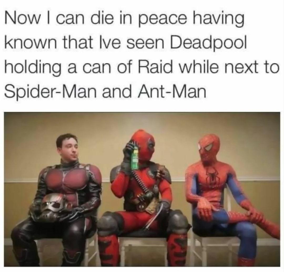 Now can die in peace having known that lve seen Deadpool holding a can of Raid while next to Spider Man and Ant Man