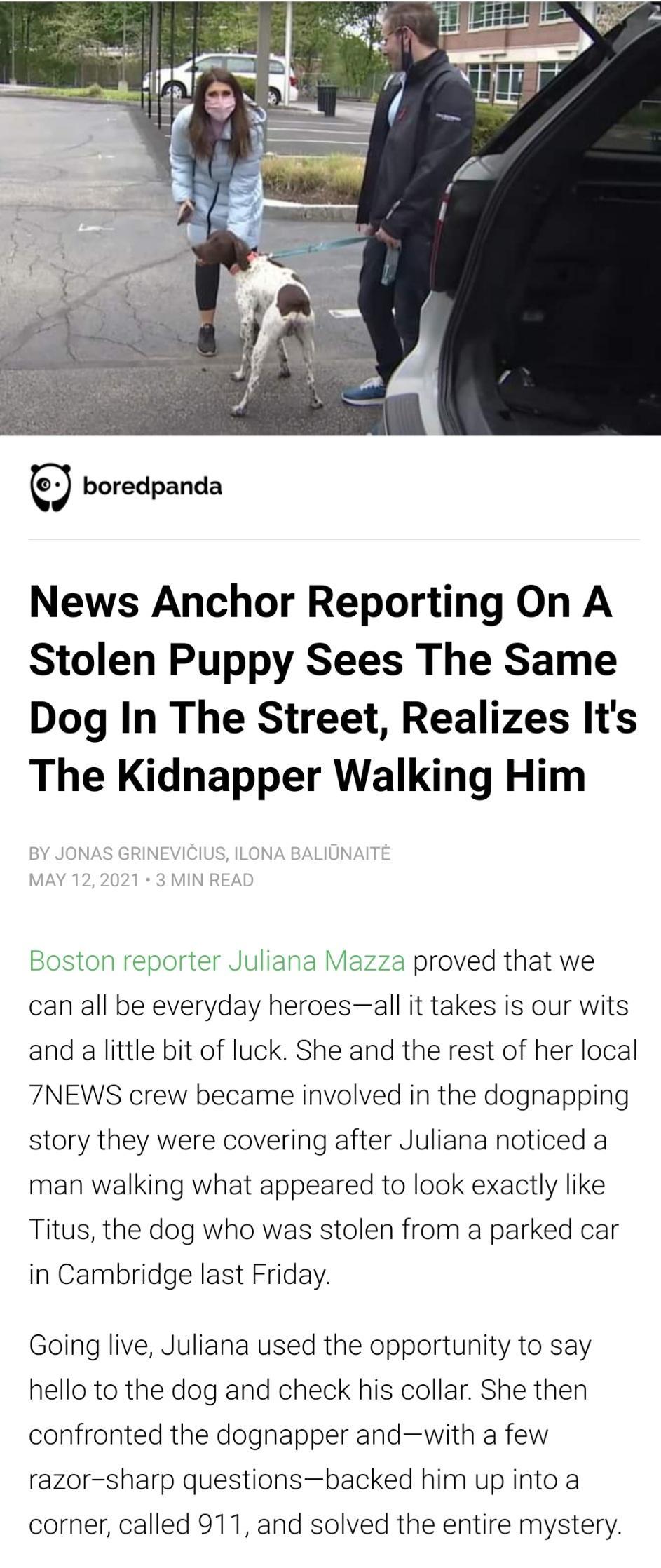 News Anchor Reporting On A Stolen Puppy Sees The Same Dog In The Street Realizes Its The Kidnapper Walking Him Boston reporter Juliana Mazza proved that we can all be everyday heroesall it takes is our wits and a little bit of luck She and the rest of her local 7NEWS crew became involved in the dognapping story they were covering after Juliana noticed a man walking what appeared to look exactly li