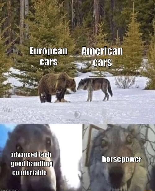 8 Gars g 8 NOISENOWEN 4 comiorlahle atvanced i yood Imullli