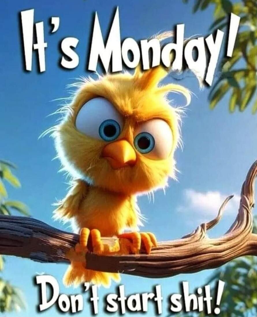 It's Monday! Don't start shit!