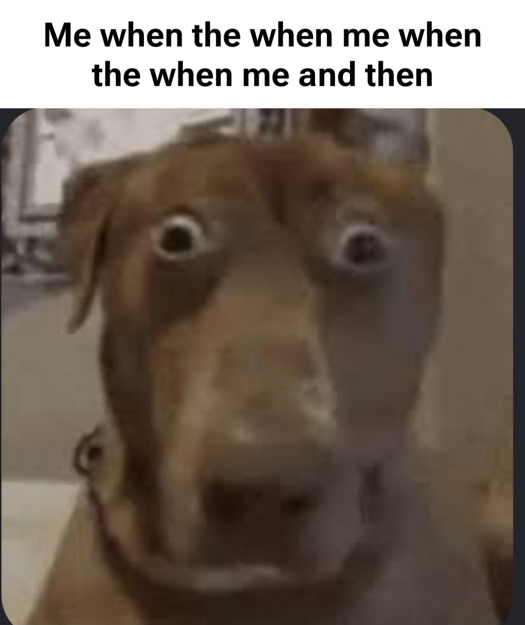 Me when the when me when the when me and then