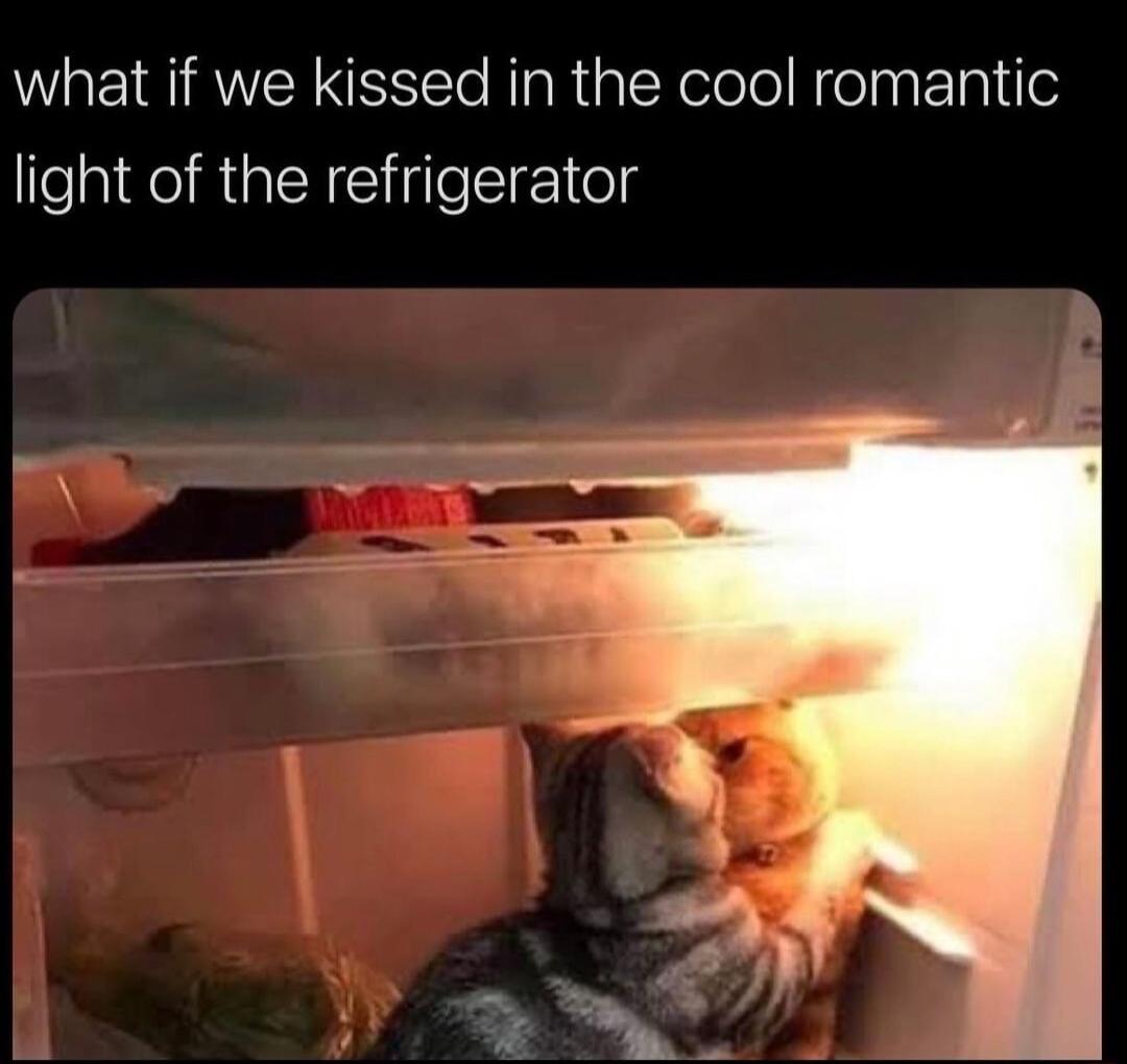 LB RWEYNESETe Mg RigteXelelel NielpETpi e light of the refrigerator