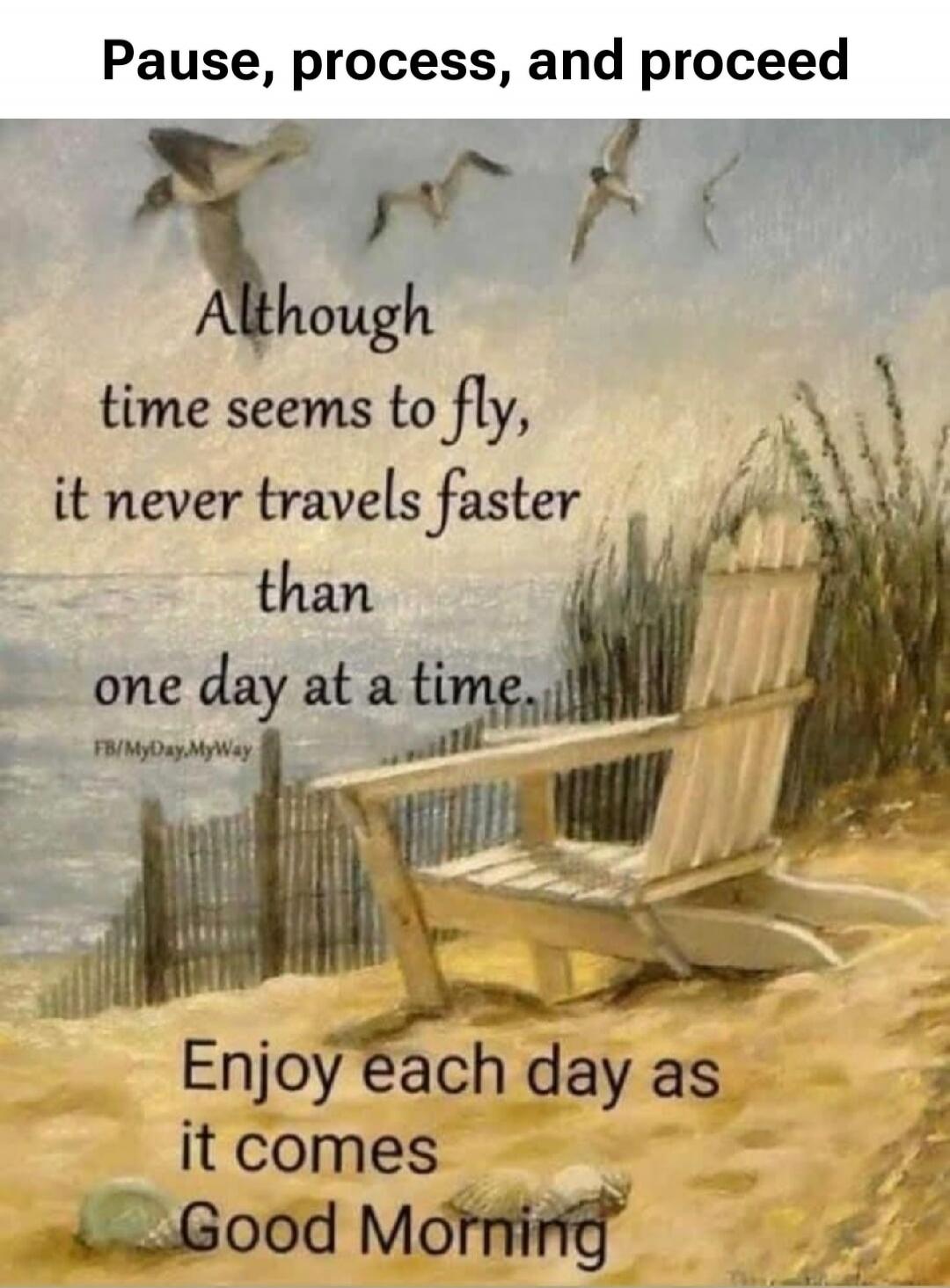 Pause, process, and proceed. Although time seems to fly, it never travels faster than one day at a time. Enjoy each day as it comes. Good Morning.