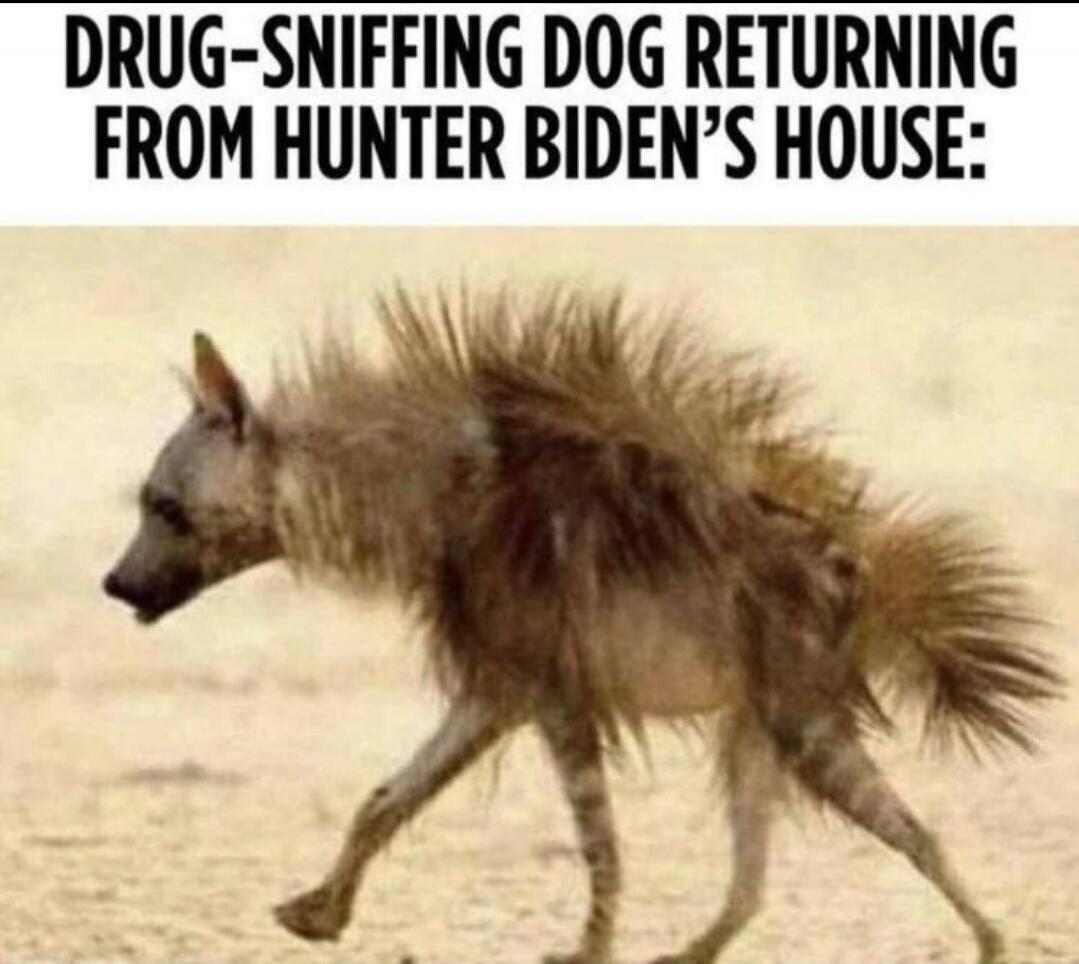 DRUG-SNIFFING DOG RETURNING FROM HUNTER BIDEN'S HOUSE: