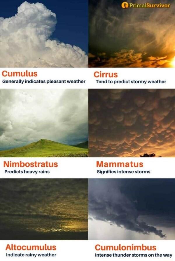 Cumulus Cirrus Generally indicates pleasant weather Tend topredict stormy weather Mammatus Altocumulus Cumulonimbus Indicate rainy weather Intense thunder storms on the way