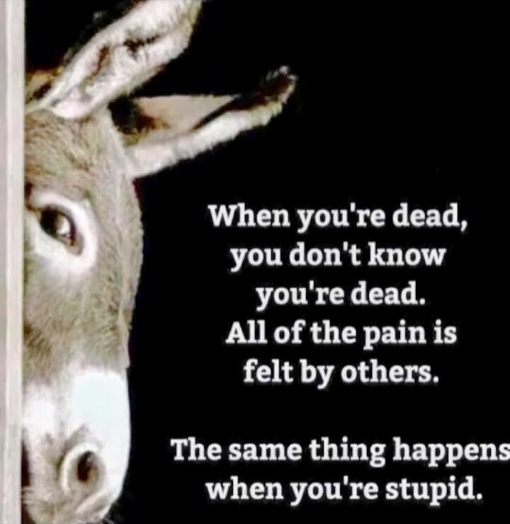 When you're dead, you don't know you're dead. All of the pain is felt by others. The same thing happens when you're stupid.