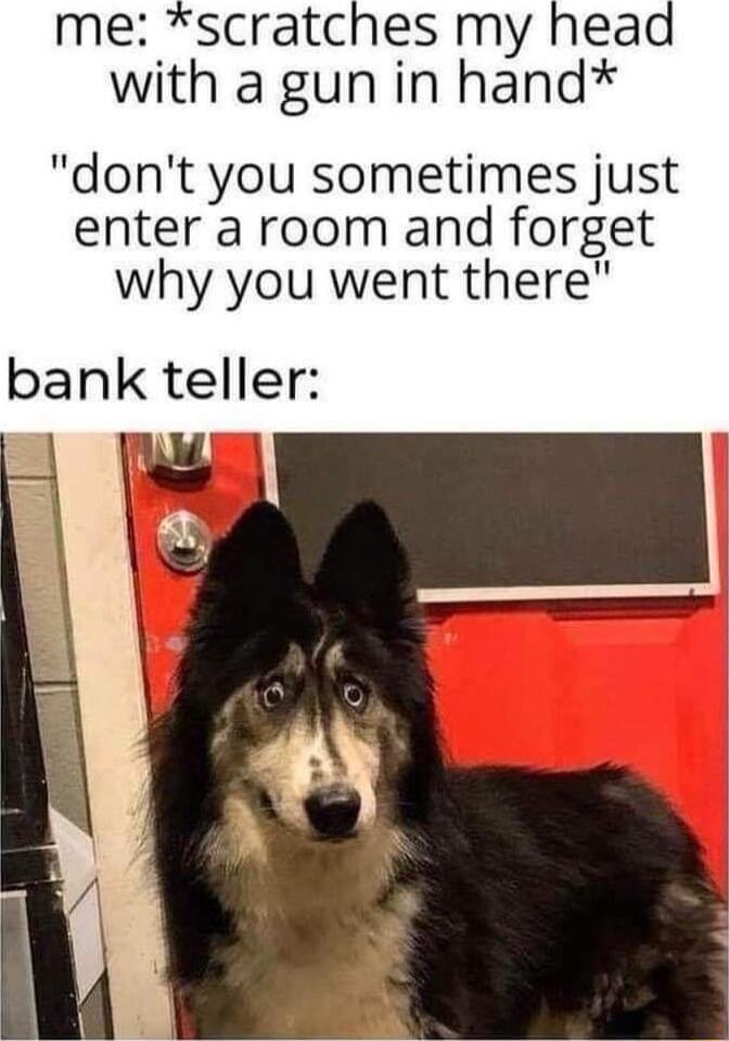 me scratches my head with a gun in hand dont you sometimes just enter a room and forget why you went there bank teller
