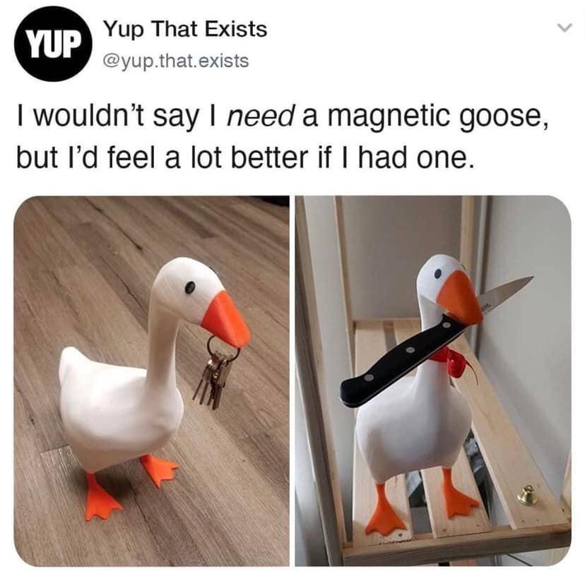Yup That Exists yupthatexists wouldnt say need a magnetic goose but Id feel a lot better if had one