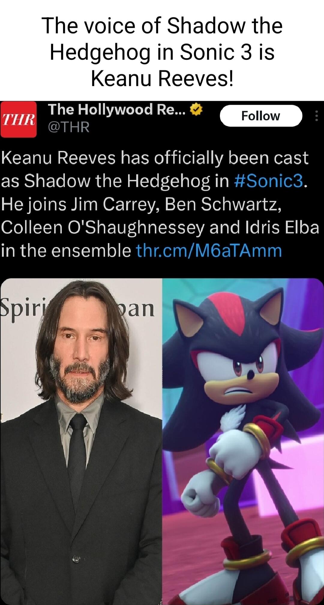 The voice of Shadow the Hedgehog in Sonic 3 is Keanu Reeves THR Theliollywood Re m Keanu Reeves has officially been cast as Shadow the Hedgehog in Sonic3 He joins Jim Carrey Ben Schwartz O16TT NO RS E TV a o E S Tale M o SR l oF in the ensemble thrcmM6aTAmm