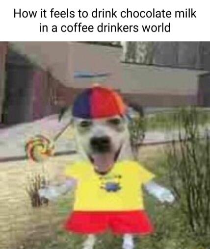 How it feels to drink chocolate milk in a coffee drinkers world