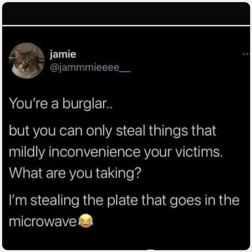 _ jamie Q O EMNEEE AoIVRR RolUifeF I8 oV Y oW NorTaNelalVAS F R allale SR QP mildly inconvenience your victims What are you taking Im stealing the plate that goes in the microwave