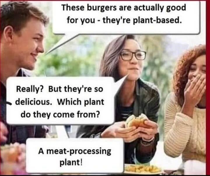 These burgers are actually good for you theyre plant based Really But theyre so delicious Which plant do they come from A meat processing plant