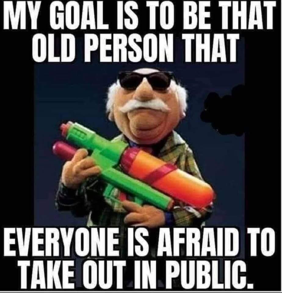 MY GOAL IS T0 BE THAT OLD PERSON THAT X mj _ h g N EVERYONE IS AFRAID TO TAKE OUT IN PUBLIC