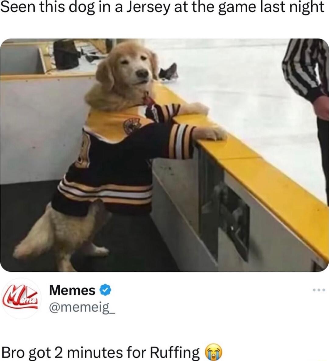 Seen this dog in a Jersey at the game last night Memes memeig Bro got 2 minutes for Ruffing