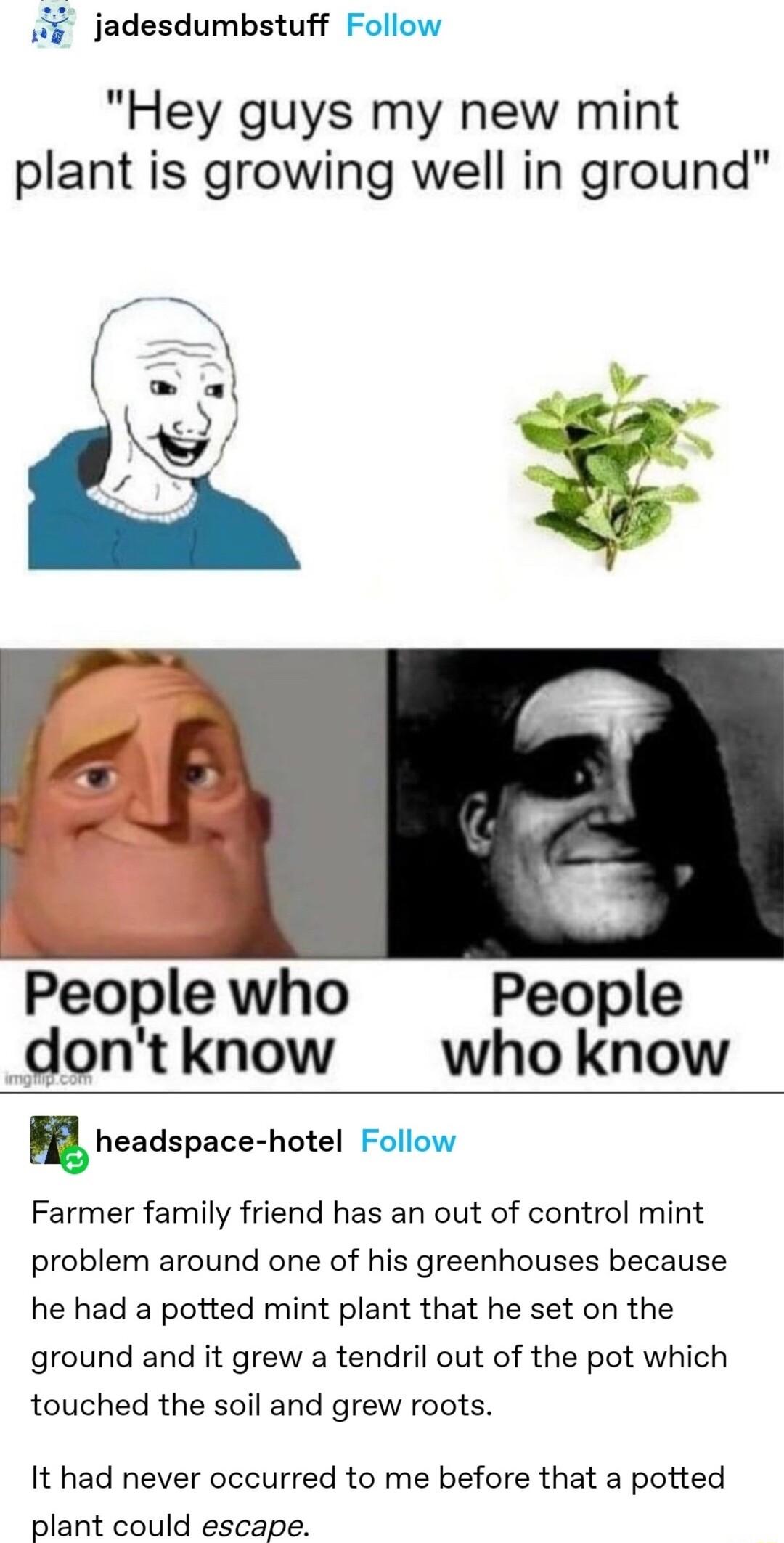 W3 jadesdumbstuff Follow Hey guys my new mint plant is growing well in ground People who People dontknow who know headspace hotal Follow Farmer family friend has an out of control mint problem around one of his greenhouses because he had a potted mint plant that he set on the ground and it grew a tendril out of the pot which touched the soil and grew roots It had never occurred to me before that a