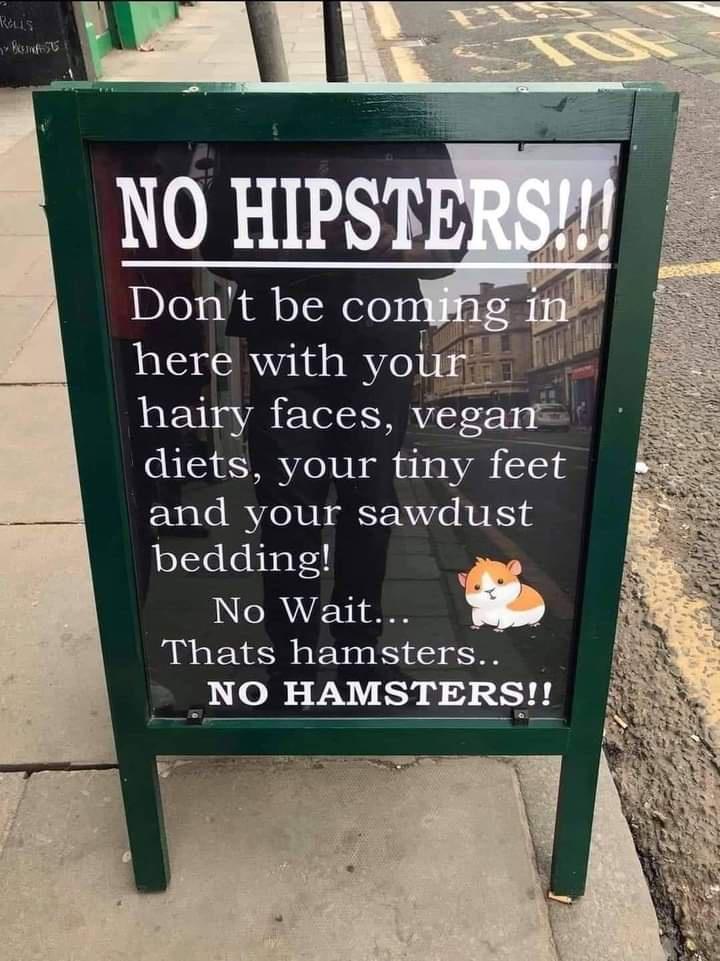 hairy faces vegan diets your tiny feet and your sawdust oYsTe tebuatyl No Wait Thats hamsters _NO HAMSTERS