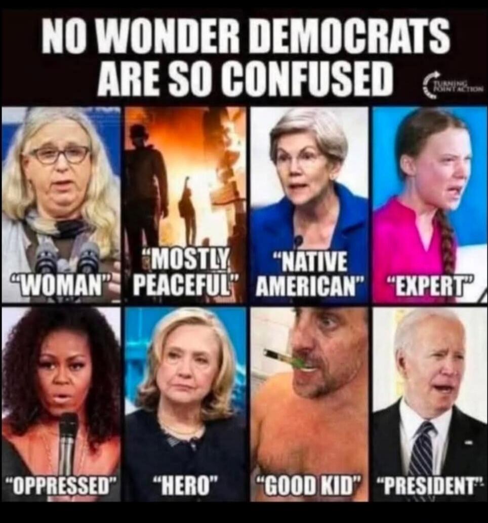 NO WONDER DEMOCRATS ARE SO CONFUSED. WOMAN. MOSTLY PEACEFUL. NATIVE AMERICAN. EXPERT. OPPRESSED. HERO. GOOD KID. PRESIDENT.