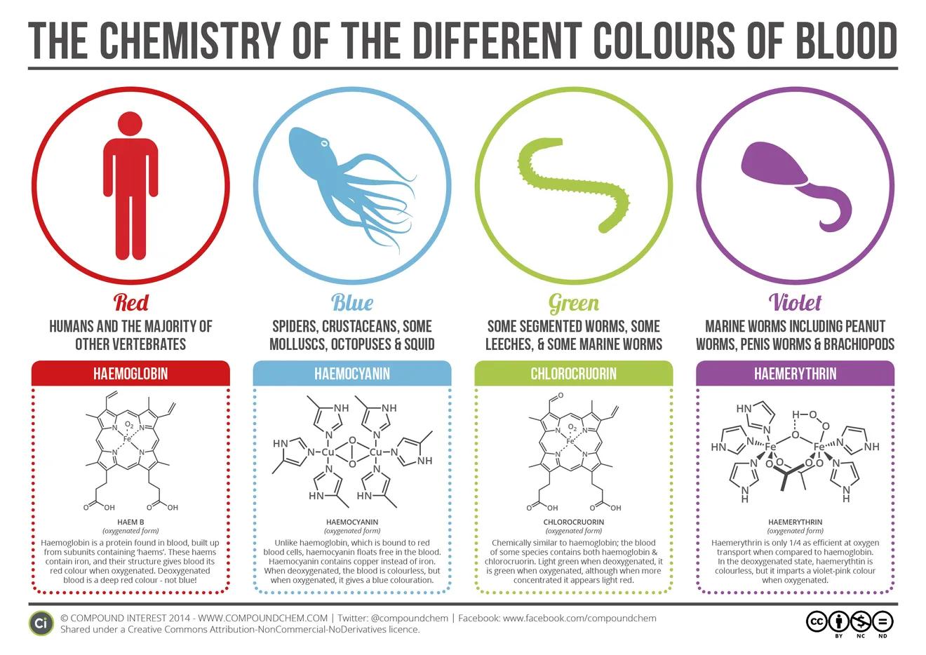 THE CHEMISTRY OF THE DIFFERENT COLOURS OF BLOOD HUMANS AND THE MAJORITY OF SPIDERS CRUSTACEANS SOME SOME SEGMENTED WORMS SOME MARINE WORMS INCLUDING PEANUT OTHER VERTEBRATES MOLLUSCS OCTOPUSES SQUID LEECHES SOME MARINE WORMS WORMS PENIS WORMS BRACHIOPODS HAEMOGLOBIN HAEMOCYANIN CHLOROCRUORIN HAEMERYTHRIN EN Cu Cu Nj z Hg o on oo oo oo HAEM B HAEMOCYANIN CHLOROCRUORIN HAEMERYTHRIN oggencted form ox