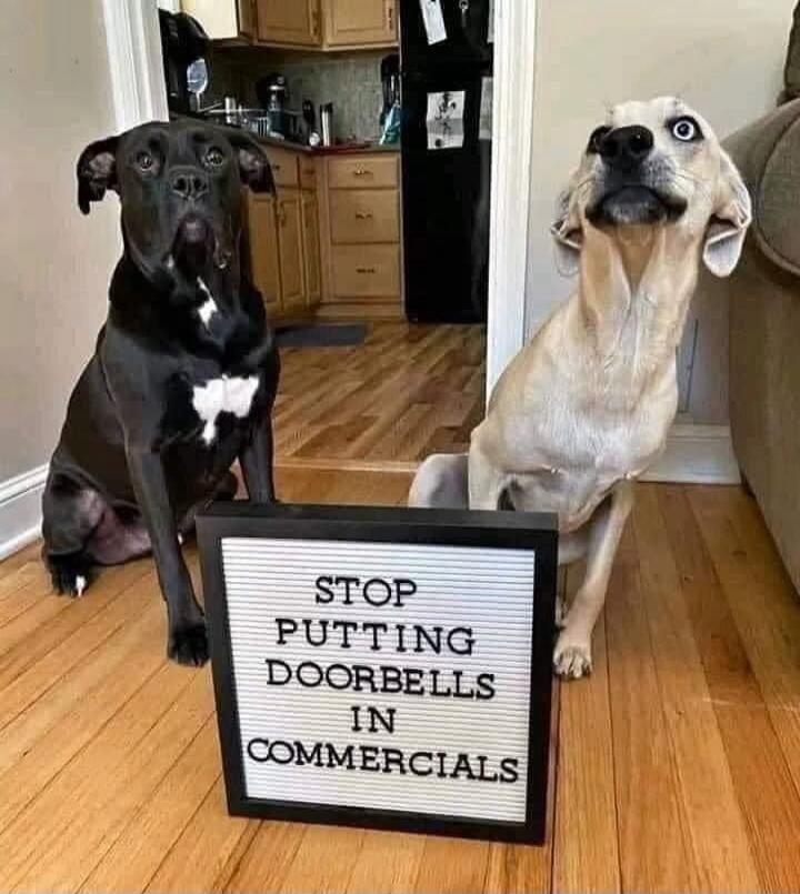 STOP PUTTING DOORBELLS IN COMMERCIALS