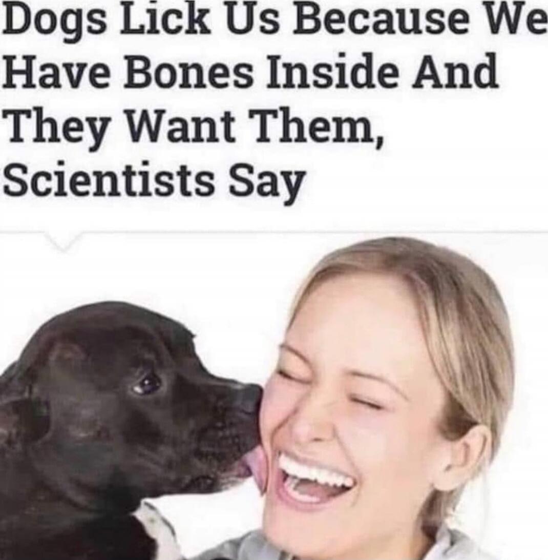 Dogs Lick Us Because We Have Bones Inside And They Want Them, Scientists Say