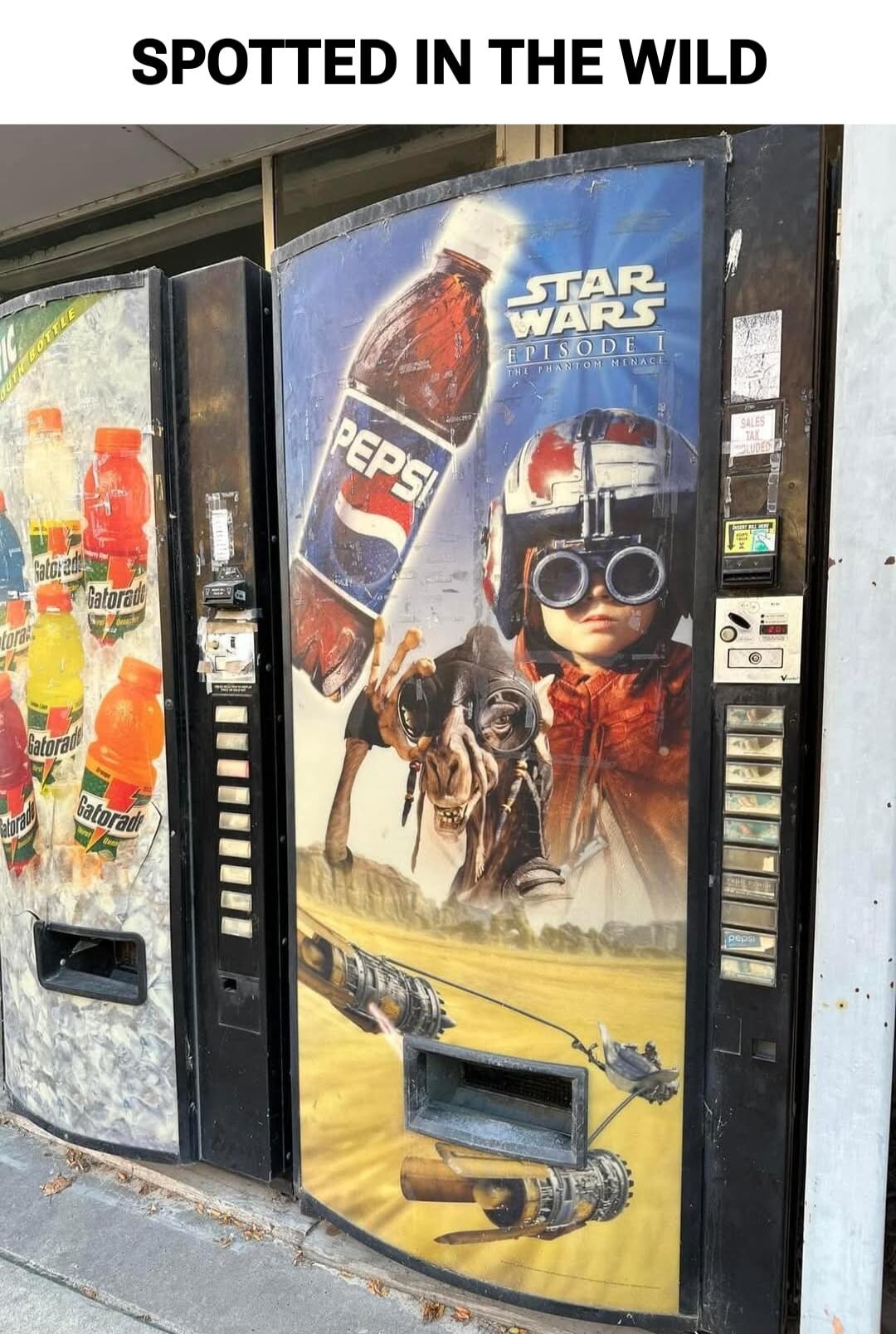SPOTTED IN THE WILD l__ H E