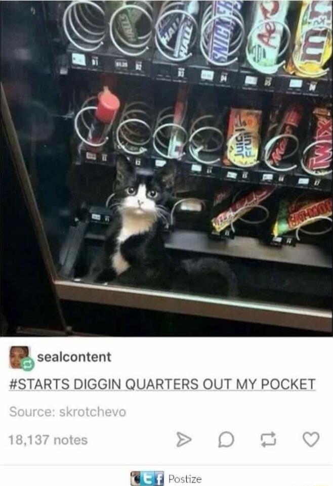 sealcontent STARTS DIGGIN QUARTERS OUT MY POCKET