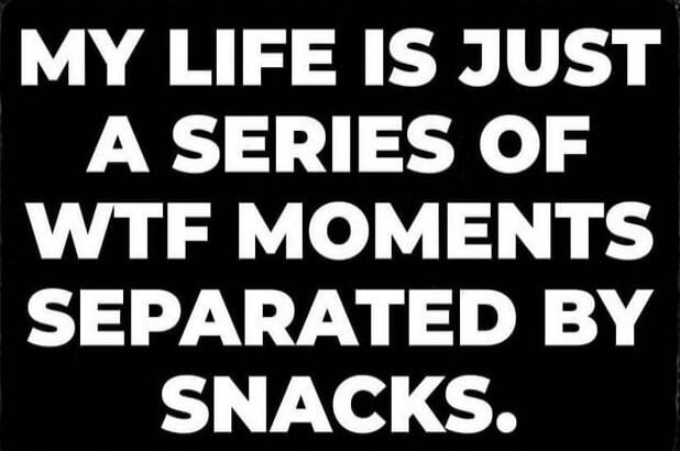 MY LIFE IS JUST A SERIES OF WTF MOMENTS SEPARATED BY SNACKS.