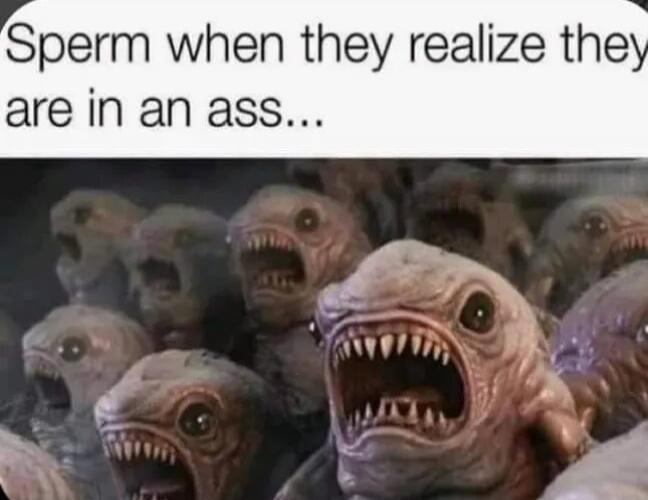 Sperm when they realize they are in an ass...