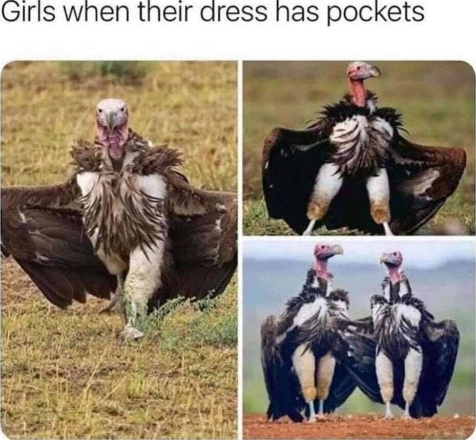 Girls when their dress has pockets