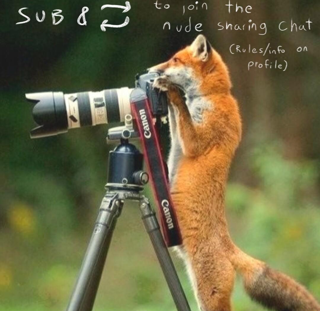 SuB KS e joi NG nude shaing Chat