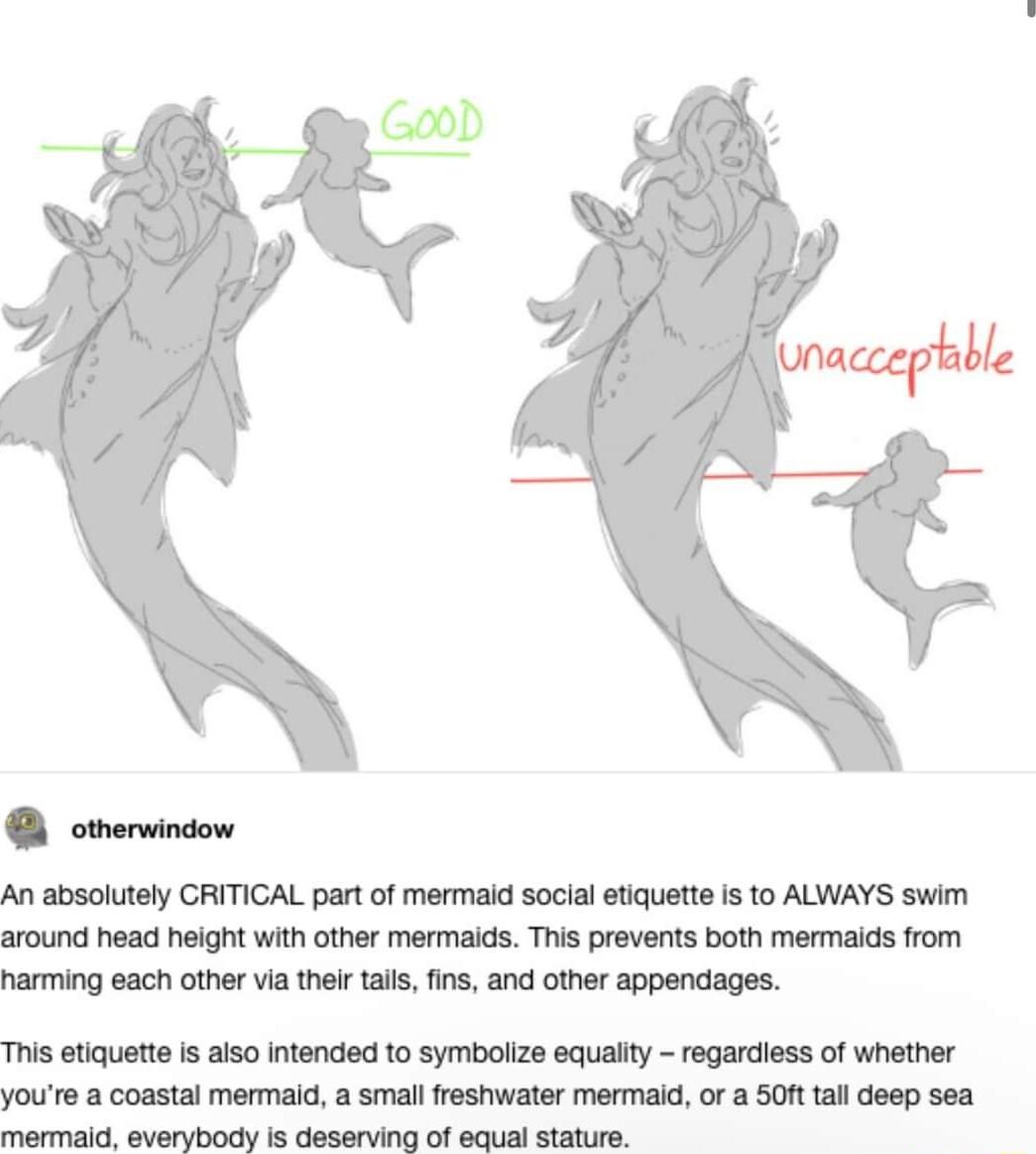 83 An absolutely CRITICAL part of mermaid social etiquette is to ALWAYS swim around head height with other mermalds This prevents both mermaids from narming each other via thelr tais fins and other appendages This etiquette Is aiso Intended 1o symbolize equalty regardess of whether youre a coastal mermald a small freshwater mermaid or a SOt tall deep sea mermaid everybody is deserving of equal sta