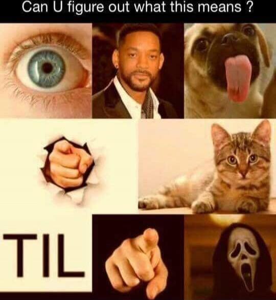 I will dog hole cat til you boo