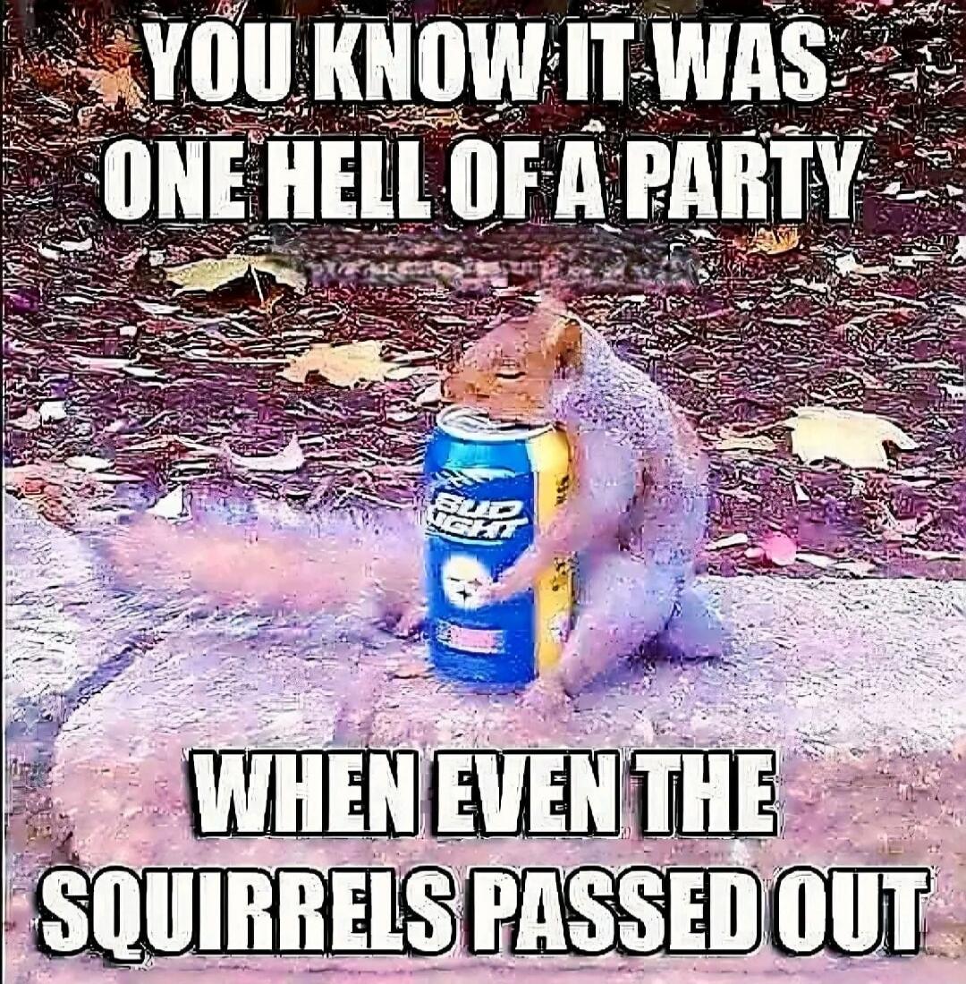 YOU KNOW IT WAS ONE HELL OF A PARTY WHEN EVEN THE SQUIRRELS PASSED OUT