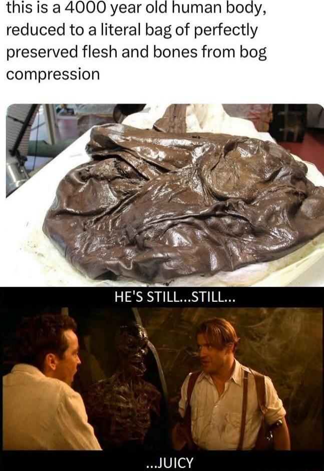 this is a 4000 year old human body, reduced to a literal bag of perfectly preserved flesh and bones from bog compression HE'S STILL...STILL... JUICY