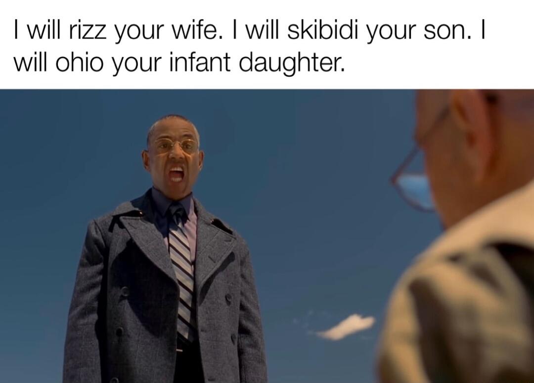 will rizz your wife will skibidi your son will ohio your infant daughter