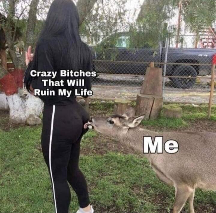 Crazy Bitches That Will Ruin My Life, Me