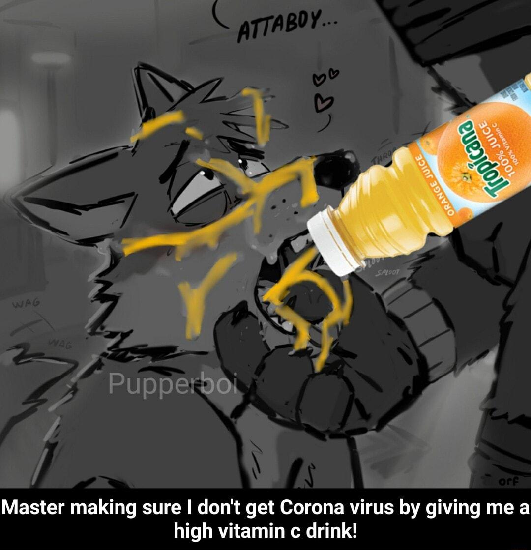 AY 2 V i Pupperoi Master making sure dont get Corona virus by giving me a high vitamin c drink