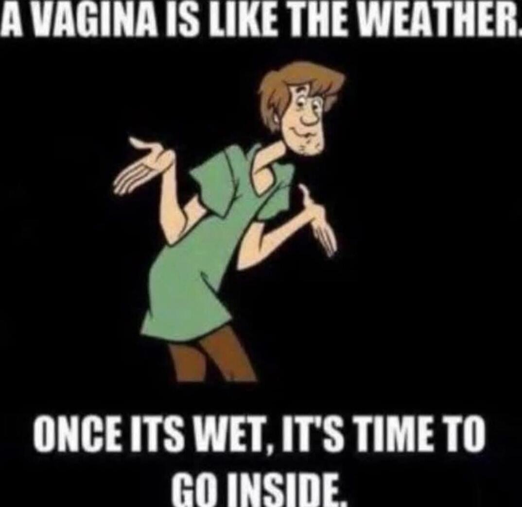 A VAGINA IS LIKE THE WEATHER. ONCE ITS WET, IT'S TIME TO GO INSIDE.